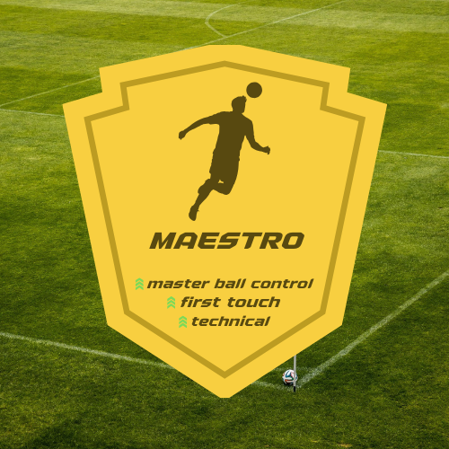 Complete Ball Maestry